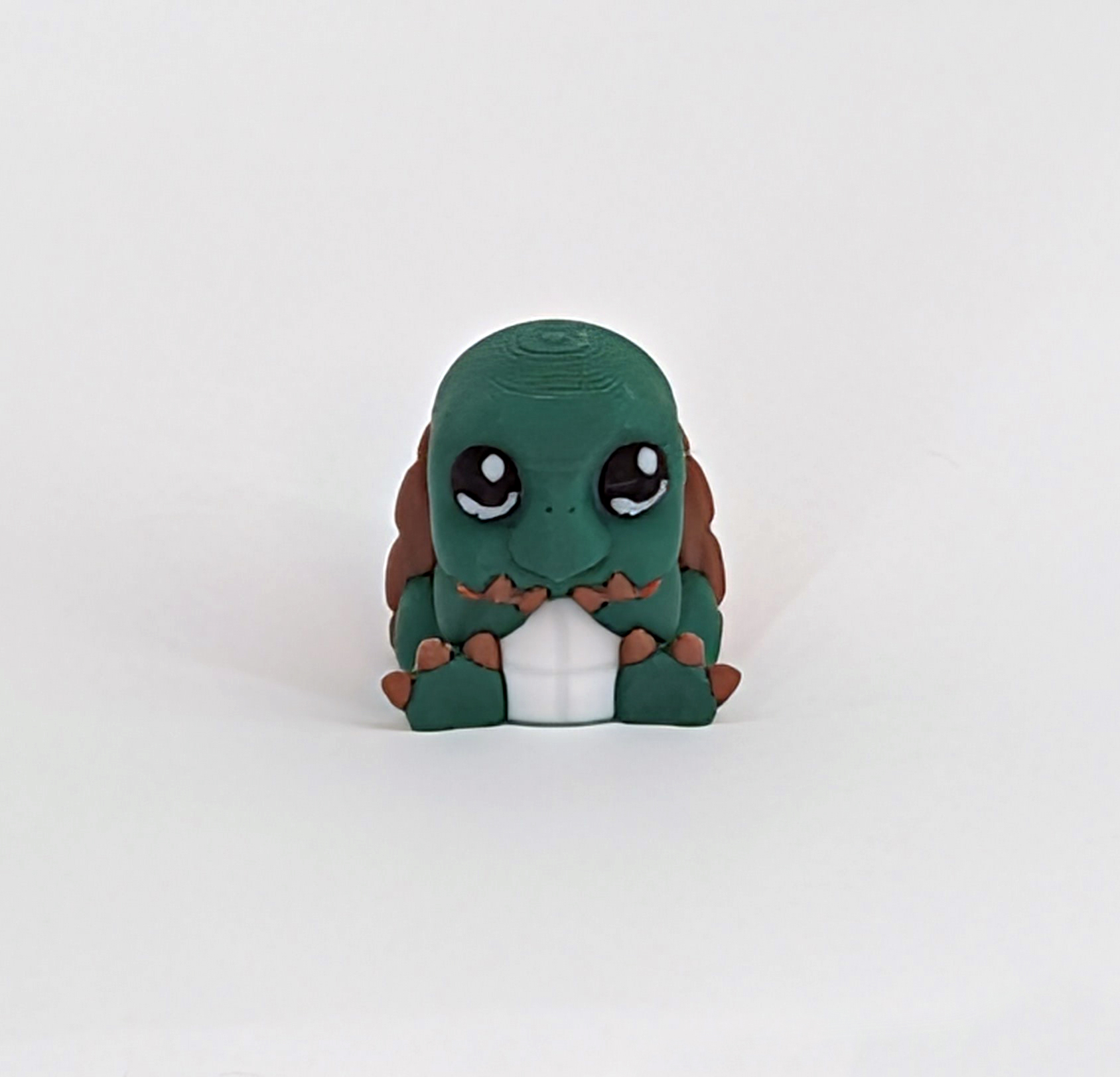 Cute Turtle 3D Printed Model 2 Cute Turtle 3D Printed Model