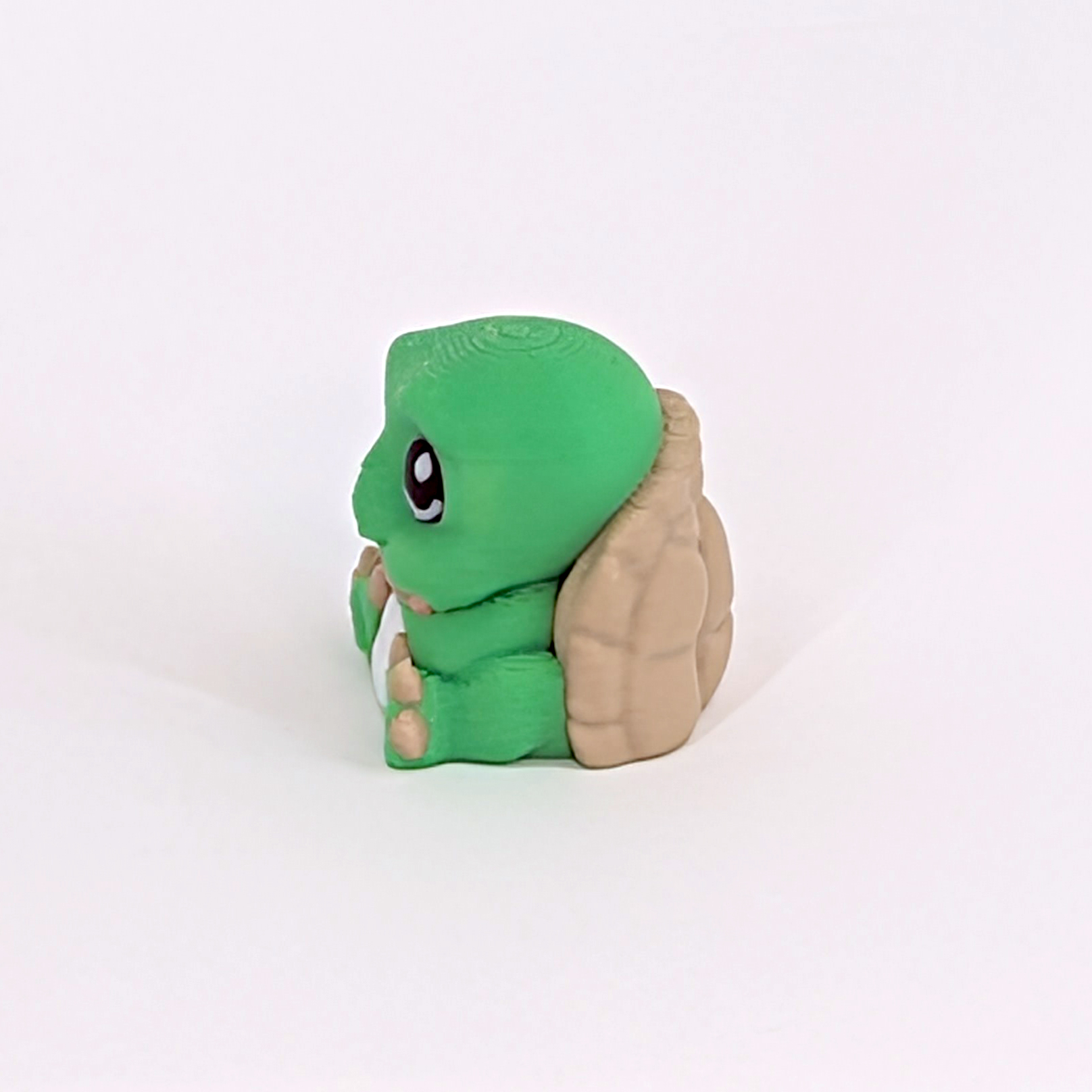 Cute Turtle 3D Printed Model 11 Cute Turtle 3D Printed Model
